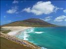 The Neck panorama - Saunders Island